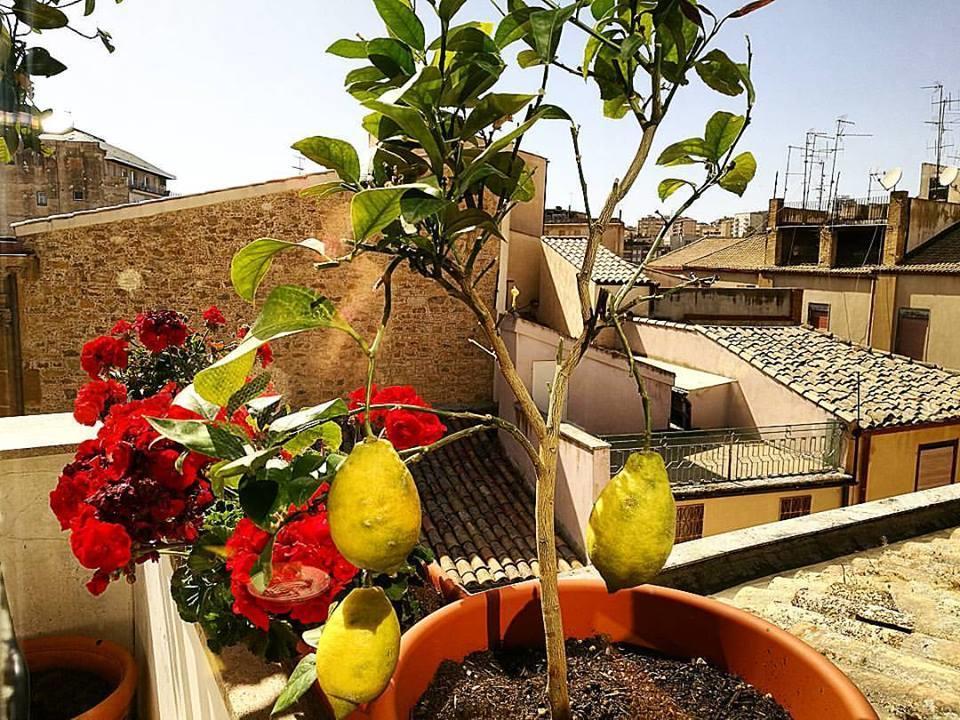 Hotel Plaza Caltanissetta Luaran gambar